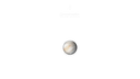Mission to Venus - Bioceramic MoonSwatch